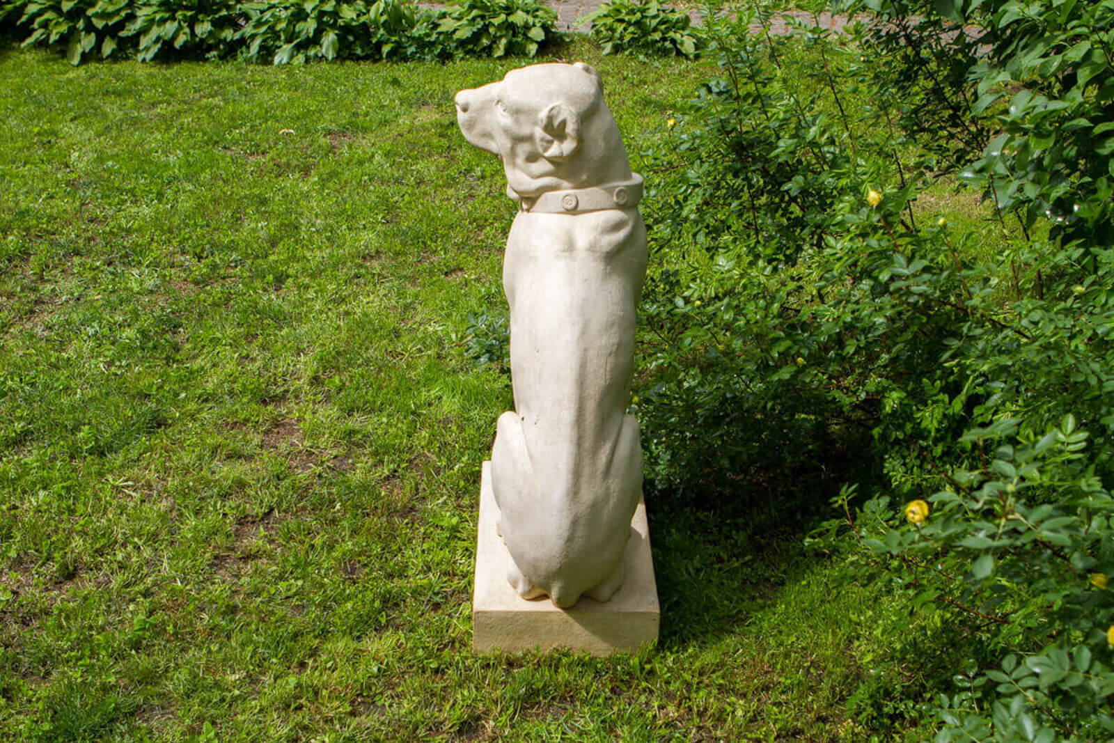 nadgrobie-dlya-sobaki-na-uchastke-7