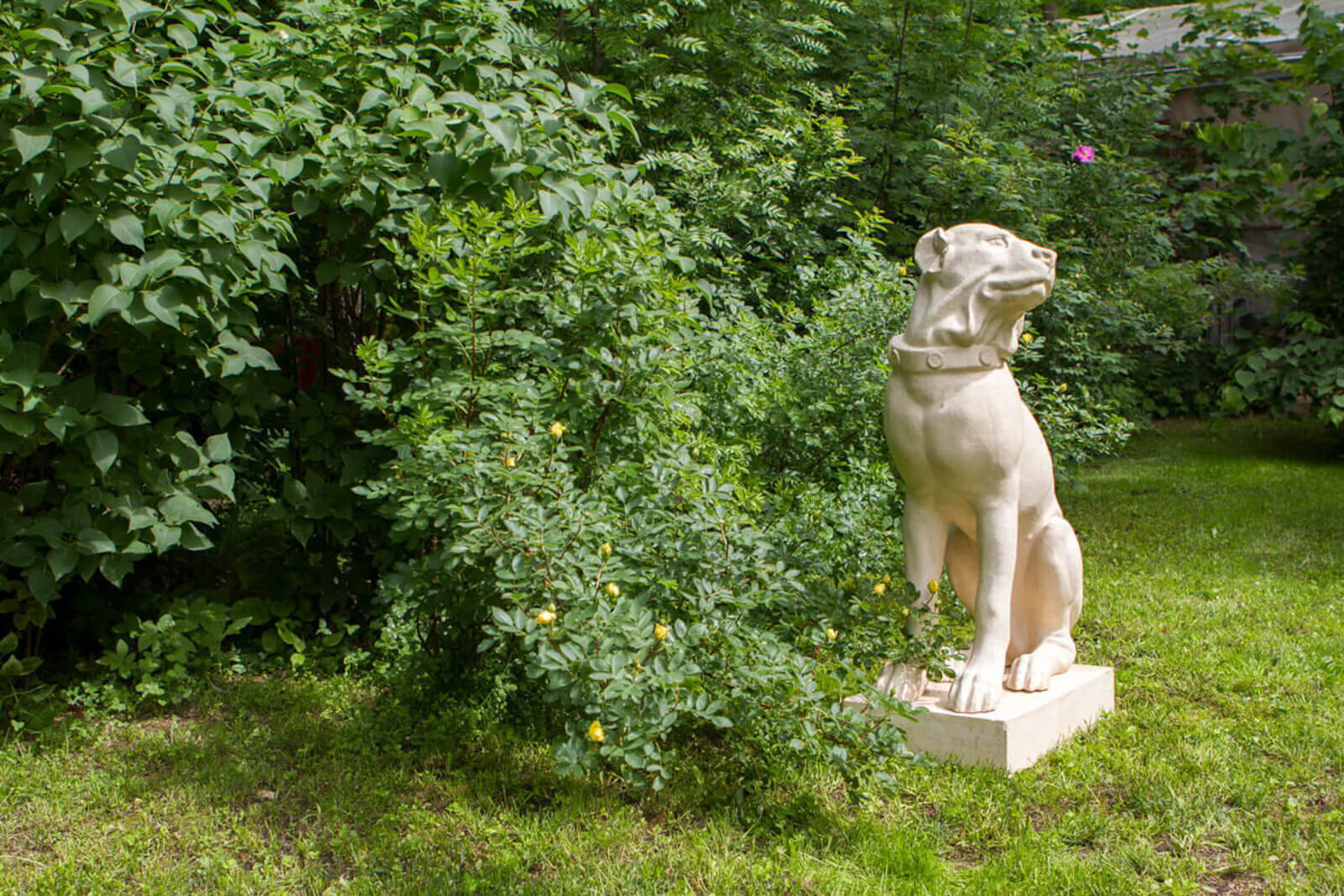 nadgrobie-dlya-sobaki-na-uchastke-8