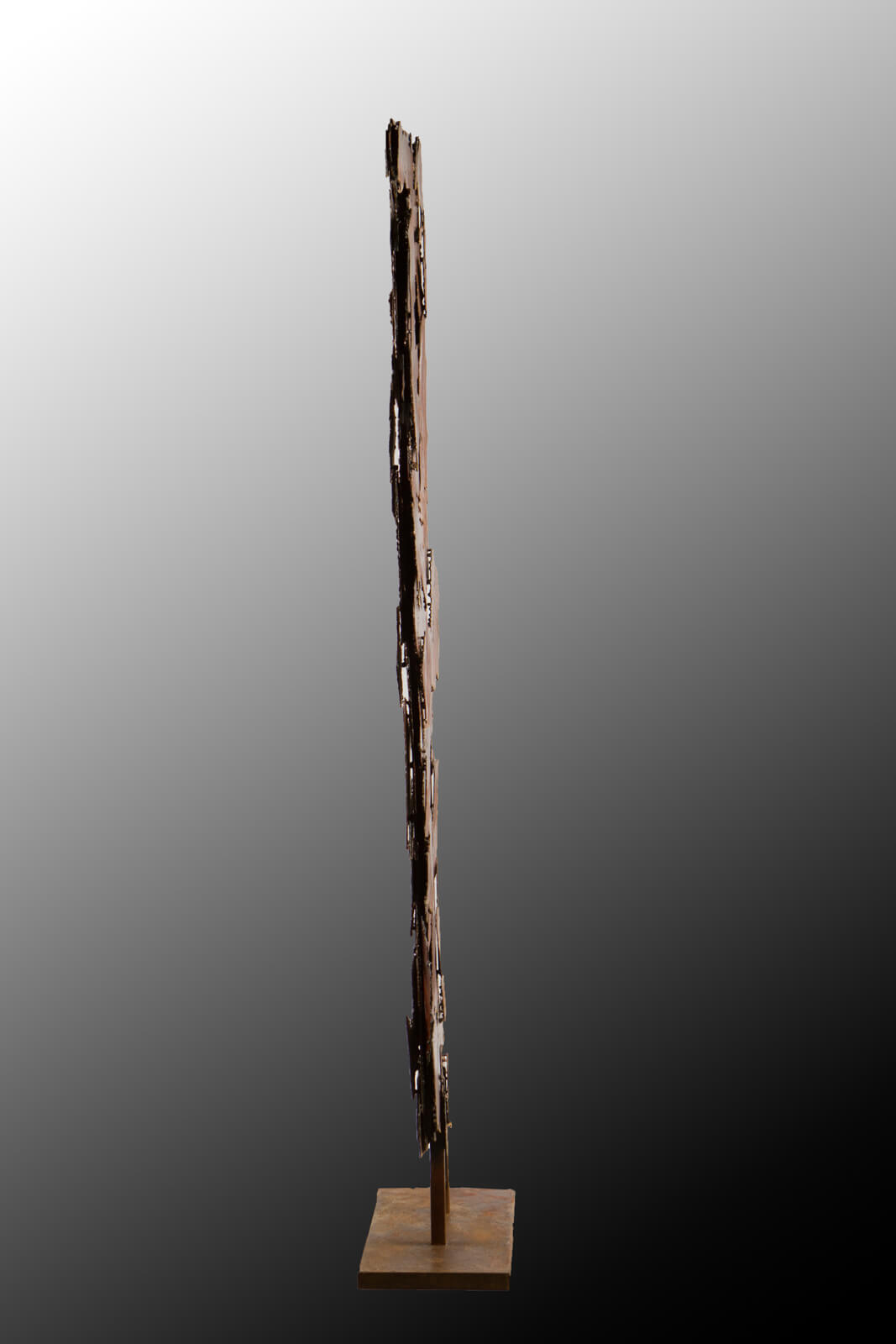 transformaciya-2