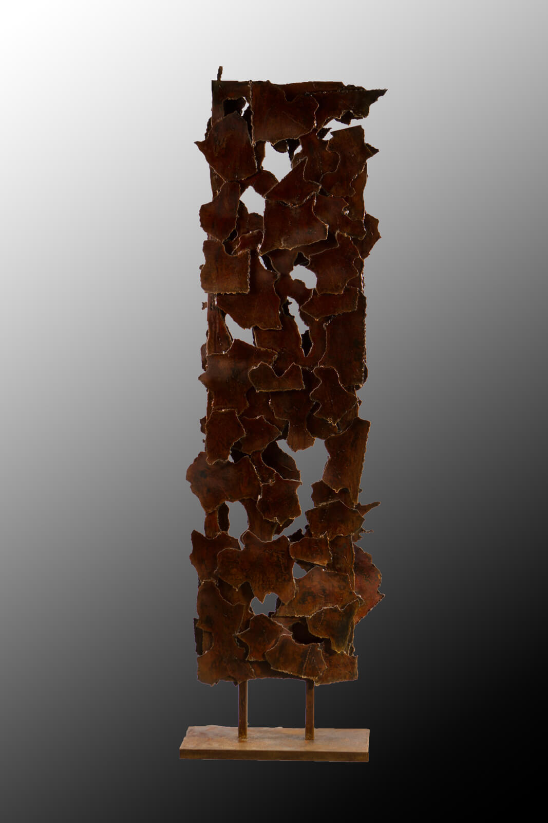 transformaciya-3